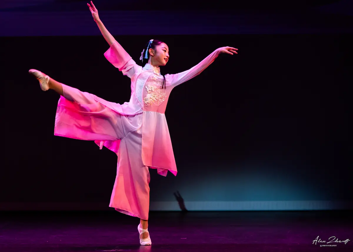 Young heritage arts performance